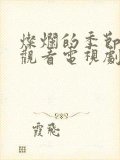 灿烂的季节免费观看电视剧全集