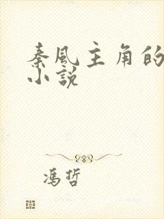 秦风主角的玄幻小说封面