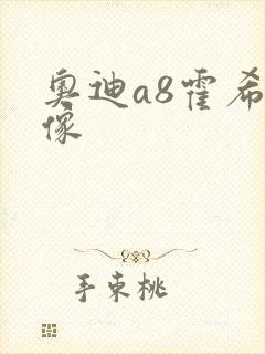 奥迪a8霍希头像