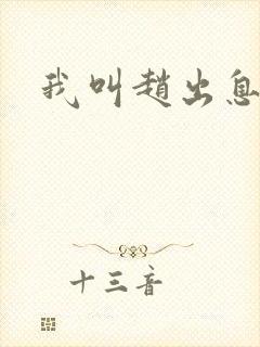 我叫赵出息评分封面