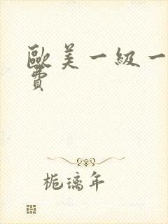 欧美一级一片免费