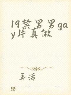 19禁男男gay片真做