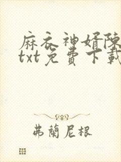 麻衣神婿陈黄皮txt免费下载