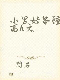 小男娃各种做肉高h文