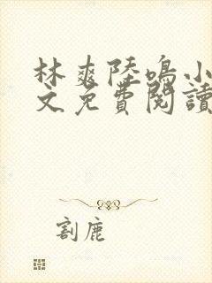 林爽陆鸣小说全文免费阅读