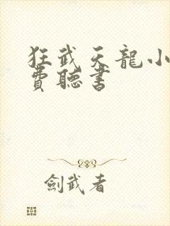 狂武天龙小说免费听书