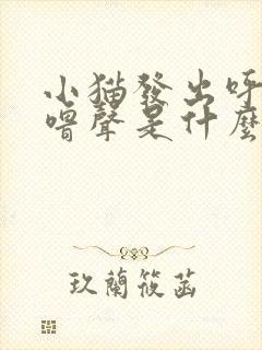 小猫发出呼噜呼噜声是什么意思