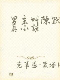 男主叫陈默的修真小说