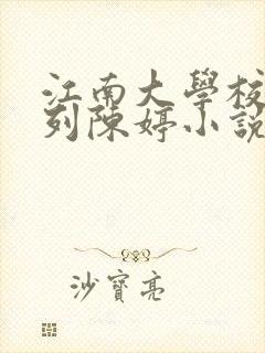 江南大学校花系列陈婷小说