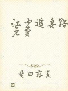 江少追妻路漫漫免费