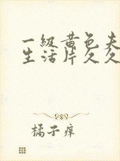 一级黄色夫妻性生活片久久