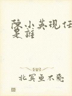 陈小英现任丈夫是谁封面