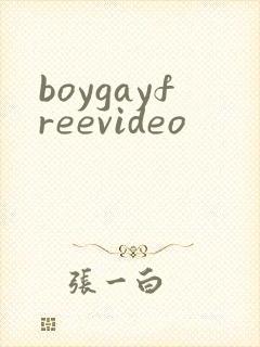 boygayfreevideo