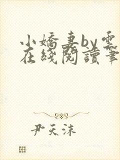 小娇妻by云间在线阅读笔趣阁封面