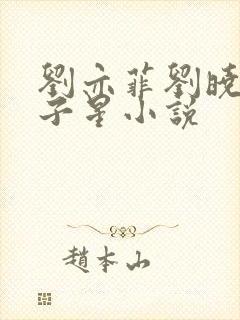 刘亦菲刘晓莉双子星小说封面