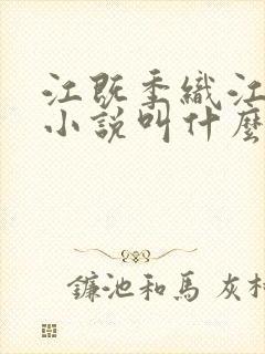 江既季织江其昭小说叫什么名字封面