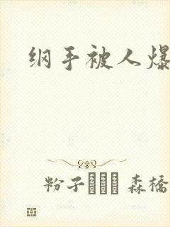 纲手被人爆操