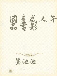 国产成人午夜精品电影