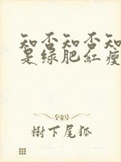 知否知否知否应是绿肥红瘦高清在线观看