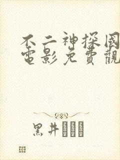 不二神探国语版电影免费观看