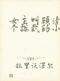 女主叫顾清寒是个总裁的小说