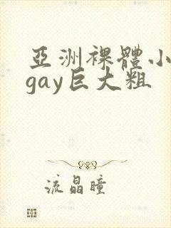 亚洲裸体小鲜肉gay巨大粗