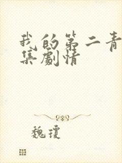 我的第二青春分集剧情封面