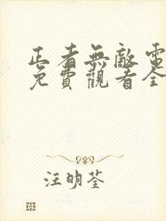 正者无敌电视剧免费观看全集