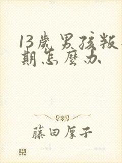 13岁男孩叛逆期怎么办封面