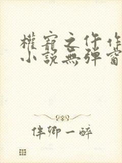 权宠之仵作医妃小说无弹窗