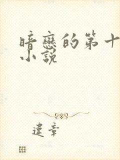 暗恋的第十一年小说