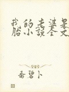 我的老婆是双胞胎小说全文阅读