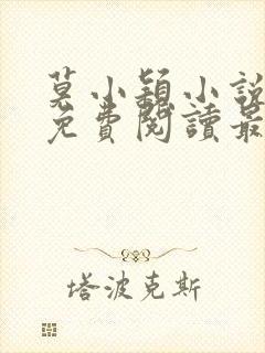 莫小颖小说全文免费阅读最新章节