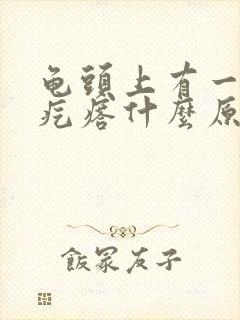 龟头上有一圈小疙瘩什么原因封面