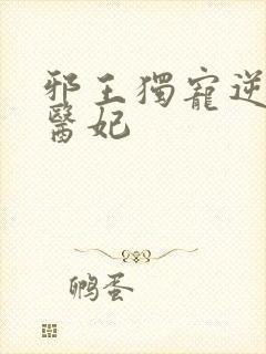 邪王独宠逆天小医妃封面