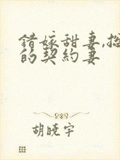 错嫁甜妻,总裁的契约妻封面