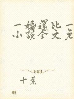 一婚还比一婚高小说全文免费阅读