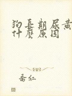 狗长期尿黄尿是什么原因