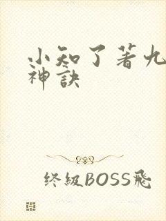 小知了著九天斩神诀封面