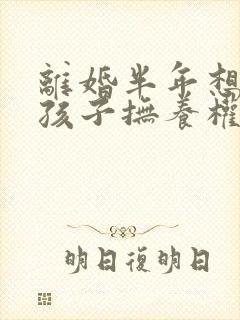 离婚半年想要回孩子抚养权