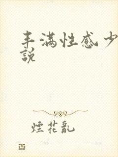 丰满性感少妇小说