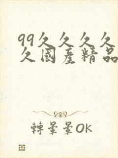 99久久久久久久国产精品封面