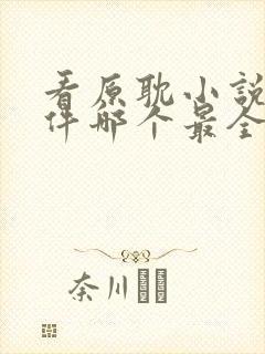 看原耽小说的软件哪个最全又免费