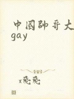 中国帅哥大尺度gay