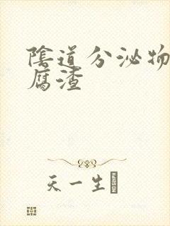 阴道分泌物是豆腐渣封面