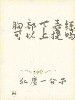 胸部下垂练胸肌可以上提吗