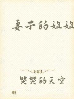 妻子的姐姐2封面