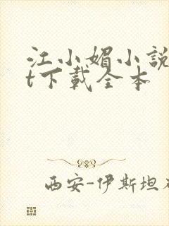 江小媚小说txt下载全本封面