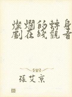 灿烂的转身电视剧在线观看免费完整版