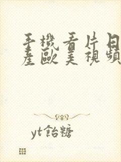 手机看片日韩国产欧美视频封面